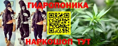 прущие грибы Старая Купавна